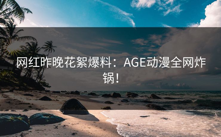 网红昨晚花絮爆料：AGE动漫全网炸锅！